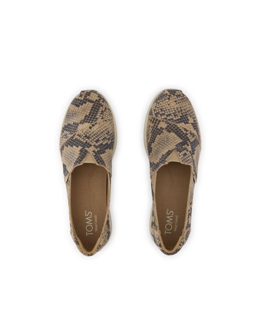 TOMS Gray Alpargata Plus