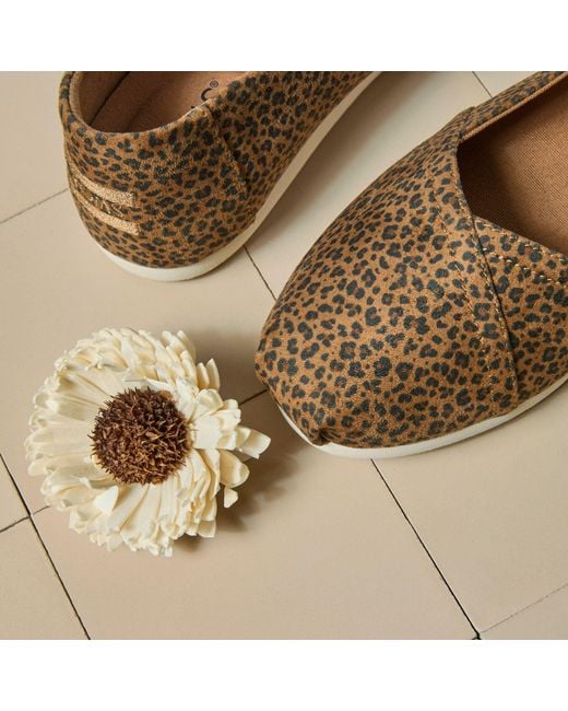 TOMS Brown Alpargata Ballet Flat