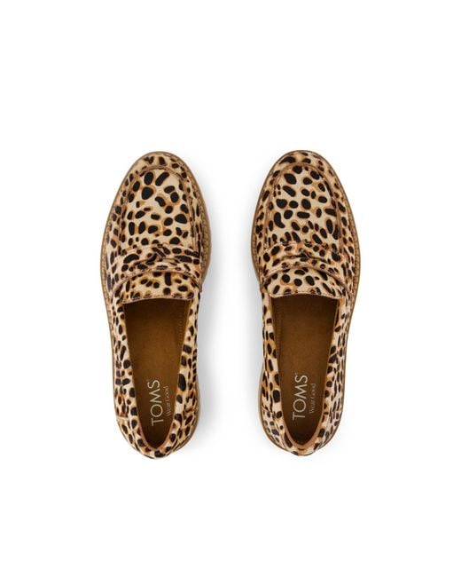 TOMS Brown Cara Loafer Shoes