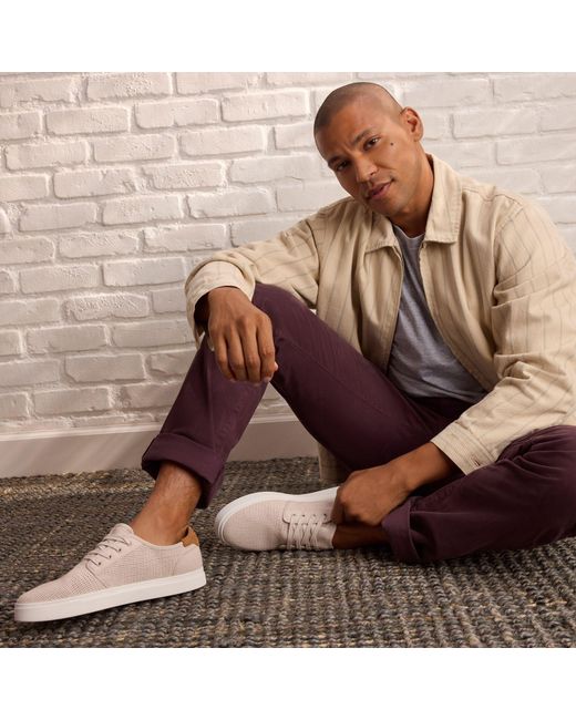 TOMS Gray Carlo 2.0 Trainer for men