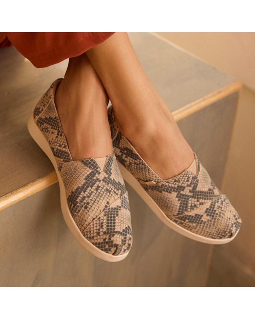 TOMS Gray Alpargata Plus