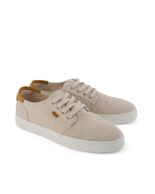 TOMS Gray Carlo 2.0 Trainer for men
