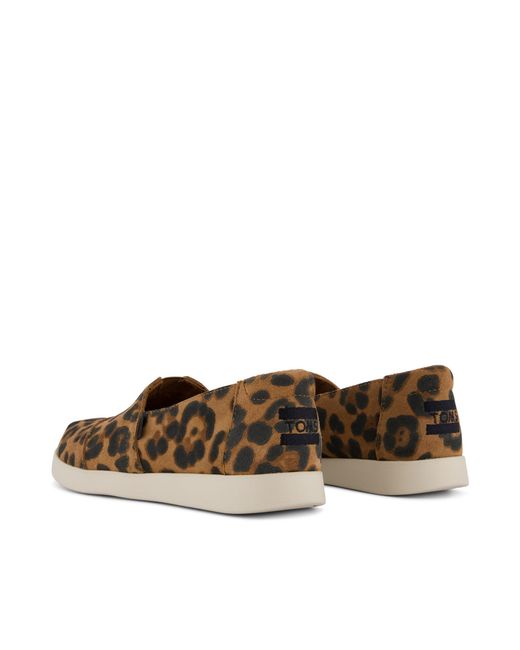 TOMS Brown Alpargata Plus
