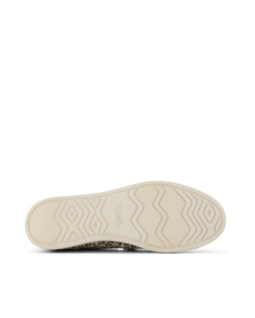 TOMS Multicolor Alpargata Plus