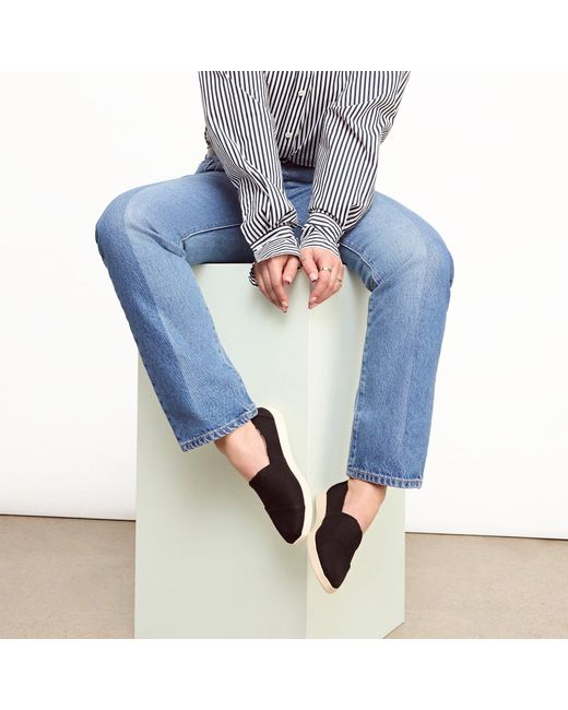 TOMS Blue Alpargata Plus