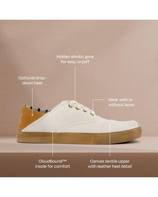TOMS Natural Cordones Plus Sneaker for men