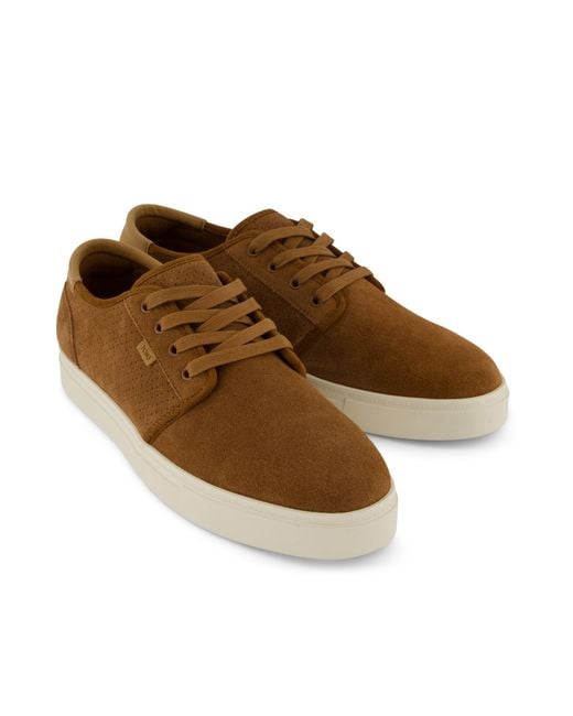 TOMS Brown Carlo 2.0 Trainer for men