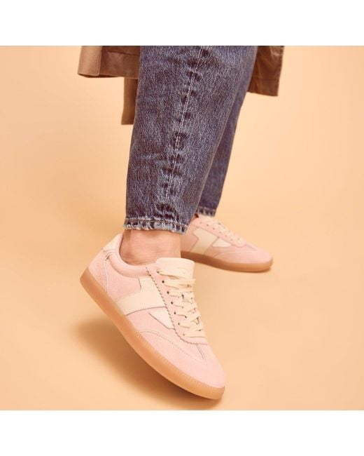 TOMS Brown Collins Trainer