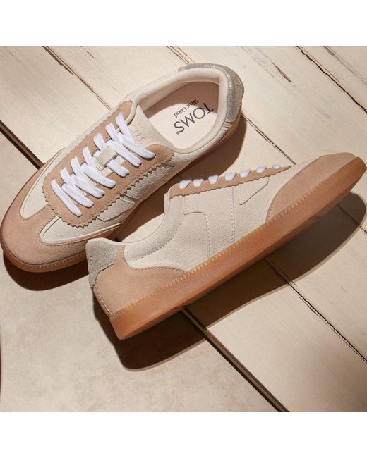 TOMS Natural Collins Trainer