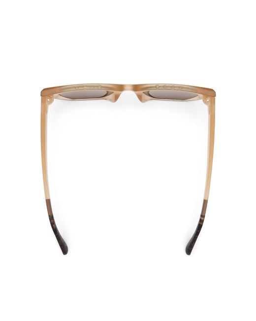 TOMS Brown Sydney Traveler Sunglasses for men