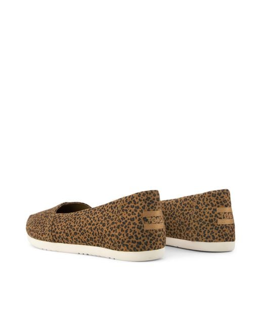 TOMS Brown Alpargata Ballet Flat