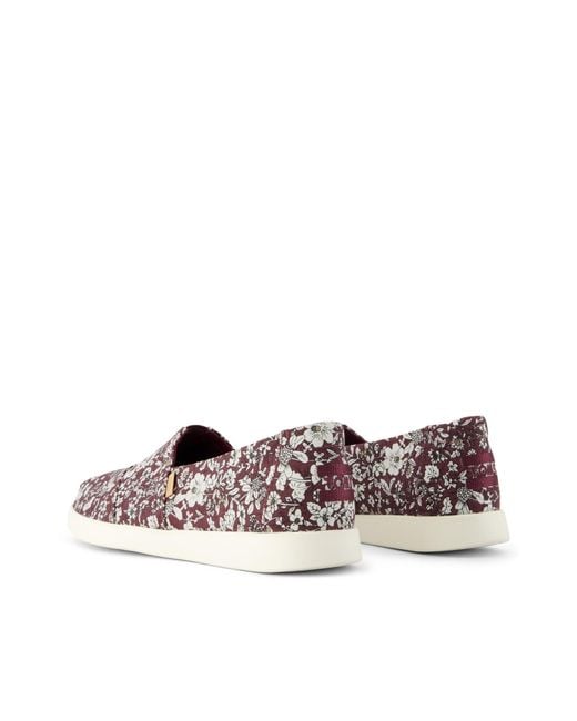 TOMS Brown Alpargata Plus