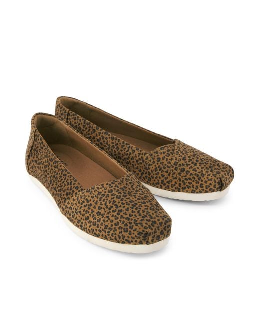 TOMS Brown Alpargata Ballet Flat