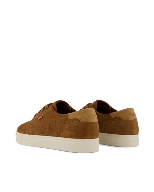 TOMS Brown Carlo 2.0 Trainer for men