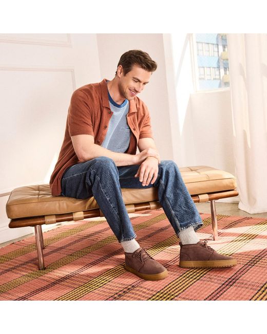 TOMS Brown Carlo Mid Terrain 2.0 Trainer for men