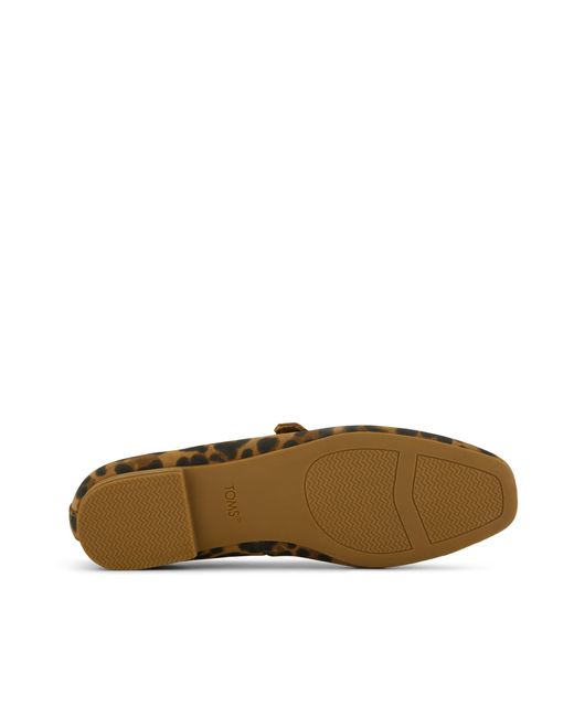 TOMS Brown Bianca Ballet Flat