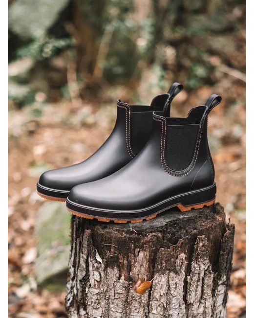 Toni Pons Blue Waterproof Ankle Boot for men