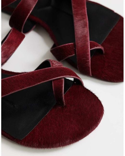 TOPSHOP Brown Erika Flat Sandals