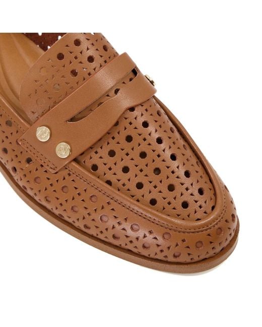 Gleaming Tri-Color Loafer