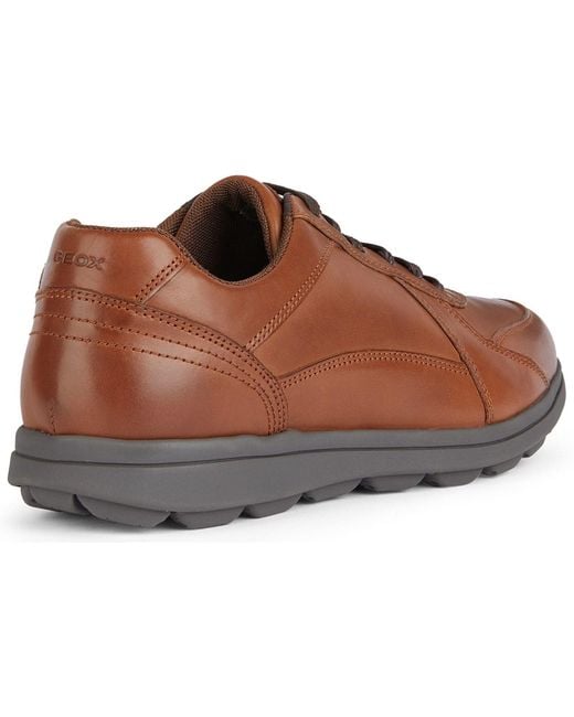 Geox Brown U Spherica Ec12 Leather Bovine Full Grain Cognac Trainers for men