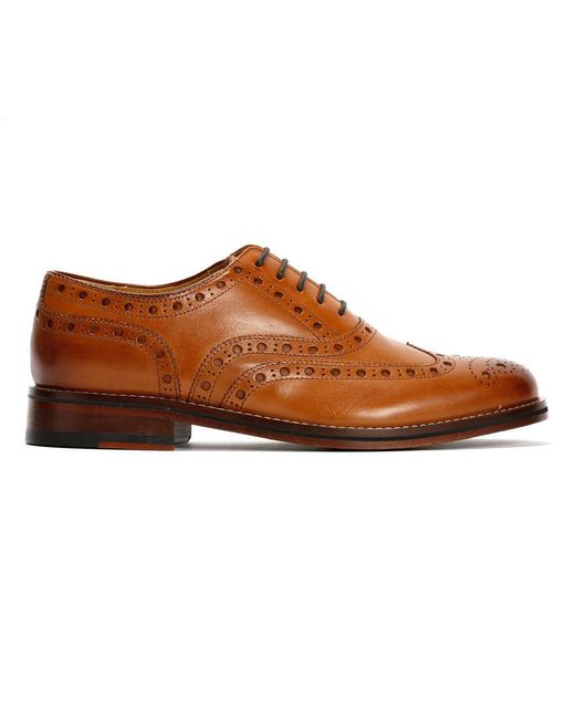 Chapman & Moore Brown Oxford Brogue Leather Tan Burnish Shoes for men