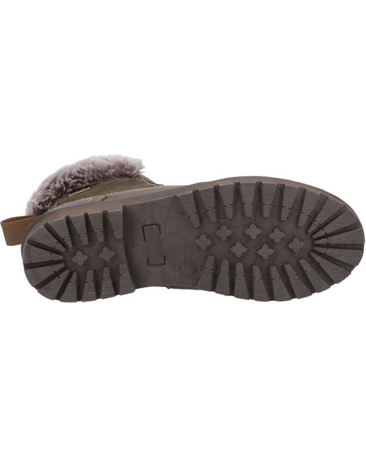 Cotswold Brown Evenlode Leder Winter Knöchelstiefel