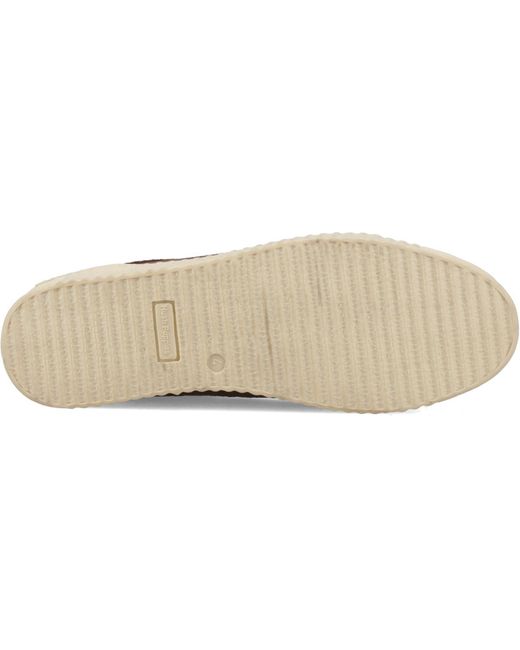 Hush Puppies Brown Tamsin Suede Suede Slim Fit Trainers