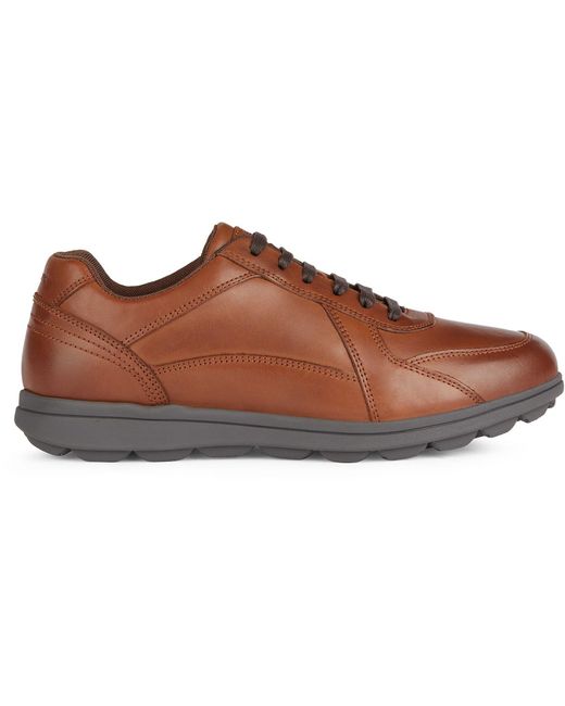 Geox Brown U Spherica Ec12 Leather Bovine Full Grain Cognac Trainers for men
