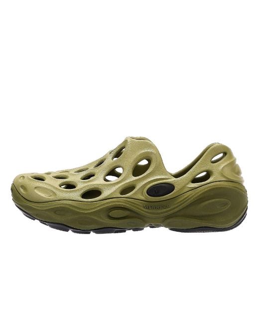 Merrell Green Hydro Next Gen Men's Mosstone/avacado Sandals for men