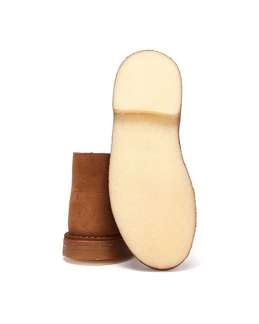 Clarks Brown Originals Desert Trek Suede Cola Boots for men