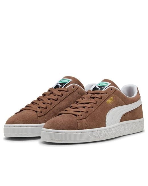 PUMA Brown Classic Suede Haute Coffee/ Trainers