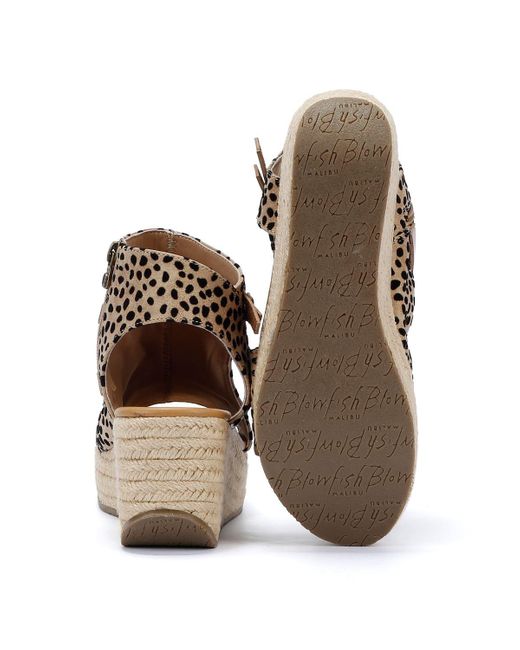 Blowfish Brown Lacey Women's Leopard Sandals