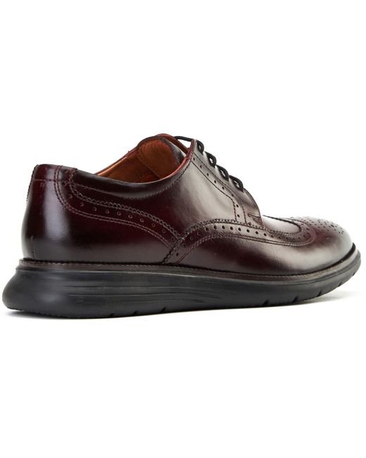 Base London Brown Flight 25 Leather Bordo Brogues Shoes for men