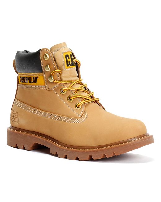 Caterpillar Brown Colorado 2.0 Tractor Leather Honey Boots for men