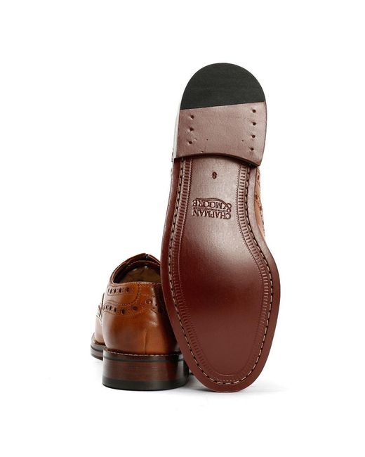 Chapman & Moore Brown Oxford Brogue Leather Tan Burnish Shoes for men