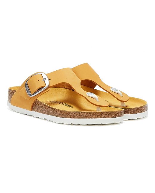 fit flop surfa