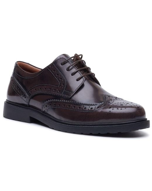 Hush Puppies Blue Verity Hi-Shine Leather Chocolate Brogues Shoes
