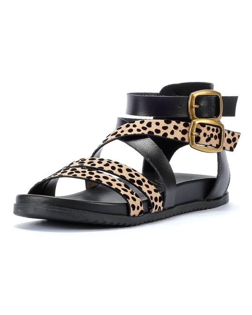 Blowfish Black Candie Women's Leopard Sandals