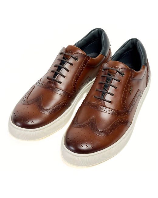 Pod Brown Dobbs Leather Brogues Shoes