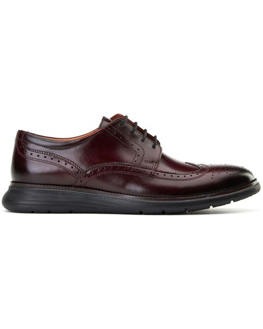 Base London Brown Flight 25 Leather Bordo Brogues Shoes for men