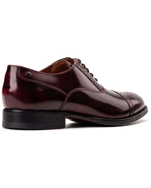 Base London Brown Franklin Leather Bordo Oxford Shoes for men