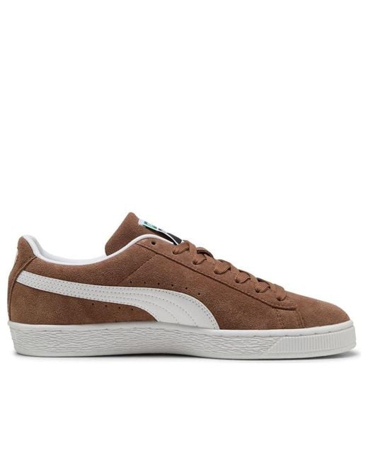 PUMA Brown Classic Suede Haute Coffee/ Trainers