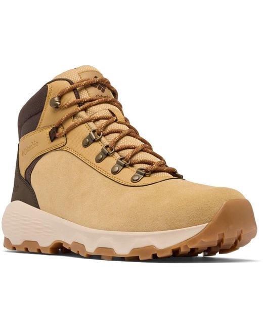 Columbia Natural Newton Wander Suede Curry/Cordovan Hiking Boots for men