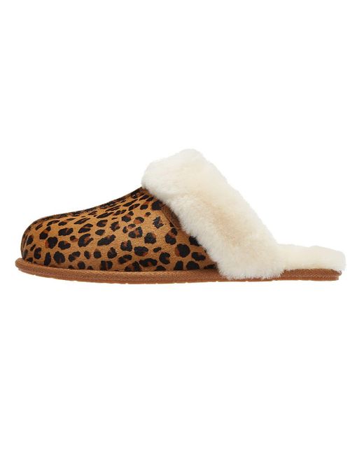 leopard print ugg slippers