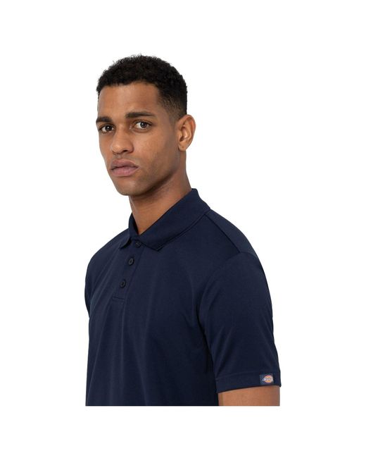 Dickies Blue Everyday Polo Shirt for men