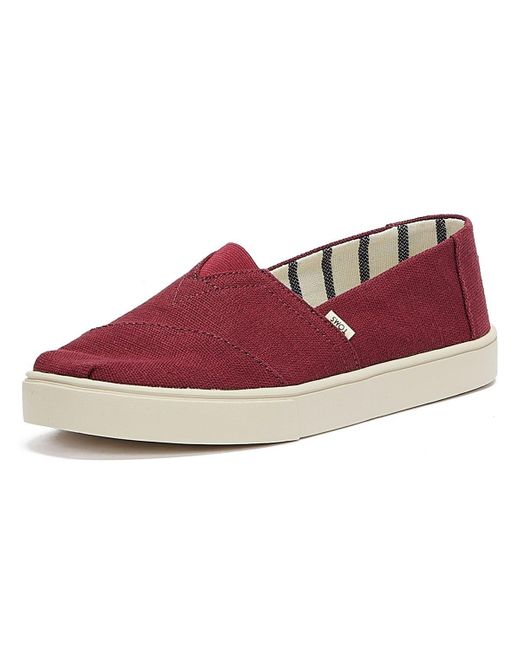 burgundy toms mens
