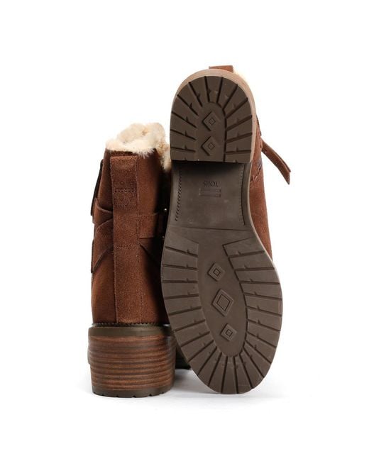 TOMS Brown Hailey Buckle Suede Dark Boots