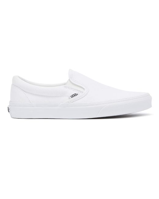vans white canvas