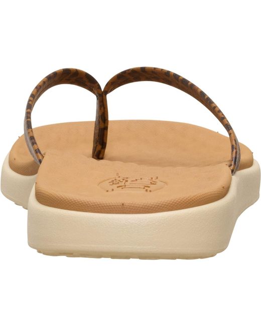 HeyDude Brown Maui Breeze Polyurethane Leopard Flip Flops