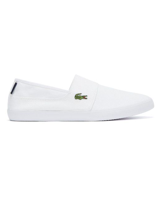 lacoste slip ons